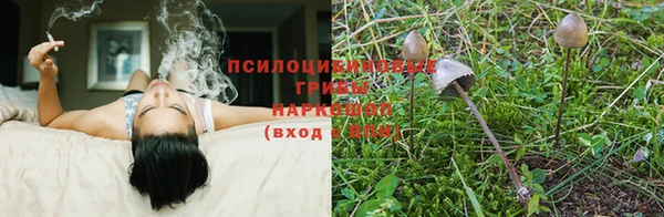 мяу мяу мука Балабаново