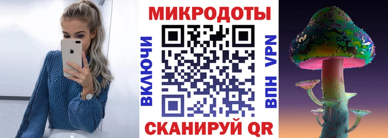 Псилоцибиновые грибы Psilocybe  Благодарный 