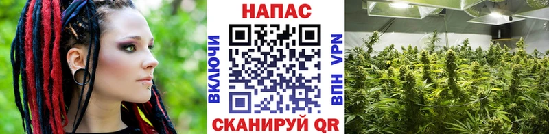 Конопля VHQ  kraken как зайти  Благодарный 